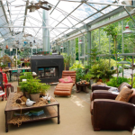 Designing a Home Greenhouse that is both Functional and Attractive