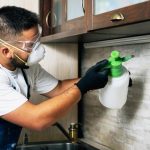The Role of Pest Control in Home Maintenance