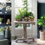 The Benefits of Incorporating Plants in Home Decor